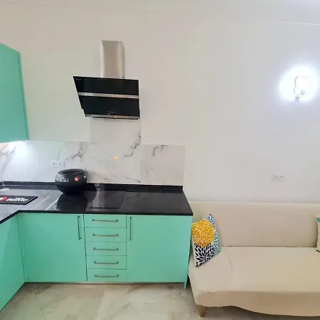 Apartamento T1 - Composto Por Quarto, Casa De Banho E Cozinha Ideal Para 1 Casal De Ferias *