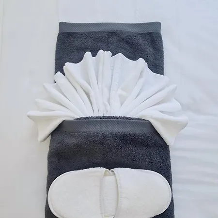 Casa de hóspedes Apartamento T1 - Composto Por Quarto, Casa De Banho E Cozinha Ideal Para 1 Casal De Ferias *